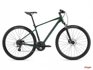 Rower Giant Roam Disc 3 Hunter Green 2024 - Rowery - miniaturka - grafika 1