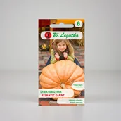 Nasiona i cebule - Nasiona Dynia olbrzymia Atlantic Giant 3g - W.Legutko - miniaturka - grafika 1