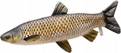 Maskotki i pluszaki - Maskotka Ryba Amur - 75cm - miniaturka - grafika 1