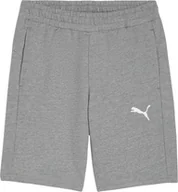 Spodnie sportowe męskie - Puma Spodenki męskie Puma teamGOAL Casuals szare 658608 33 XL - miniaturka - grafika 1