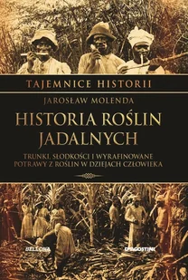 Tajemnice Historii Tom 14 - Czasopisma - miniaturka - grafika 1