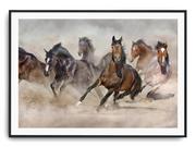 Plakaty - Plakat r B2 70x50 cm Zwierzęta Konie Koń Natura - miniaturka - grafika 1
