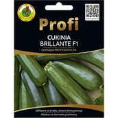 Nasiona i cebule - Dynia zwyczajna Cukinia Brillante nasiona 15szt. Pnos - miniaturka - grafika 1