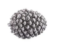 Ozdoby bożonarodzeniowe - Ozdobna Szyszka - miniaturka - grafika 1