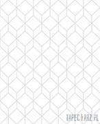 Tapety - Superfresco Easy Biała tapeta z geometrycznym srebrnym linearnym wzorem 104121_opcje - miniaturka - grafika 1