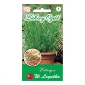 Nasiona i cebule - Legutko Estragon 0,1g Ziołowy ogród - miniaturka - grafika 1