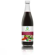 Soki i napoje niegazowane - Bio Food Ciechocin 32, 87-408 Ciechocin, Polska, D SOK WIELOWARZYWNY KISZONY BIO 500 ml - - miniaturka - grafika 1
