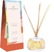 Zapachy do domu - PLANTES&PARFUMS PROVENCE Dyfuzor zapachowy kolekcja Spring/Summer - Full Sunshine - W pełnym Słońcu - 100ml 090410 - miniaturka - grafika 1