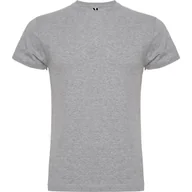 Koszulki męskie - T-shirt Męski Bawełniany Koszulka ROLY Braco CA6550 GREY DUŻY ROZMIAR 3XL - miniaturka - grafika 1