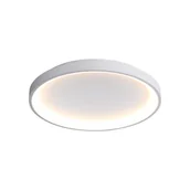 Lampy sufitowe - Plafon okrągły RADEN LED 40W Odcienie bieli 2400lm biały wym: 6,5 x 48 x 48 cm IP20 Italux - miniaturka - grafika 1
