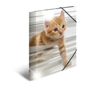 Teczki i skoroszyty - Herma Teczka A3 Glossy Katze - miniaturka - grafika 1