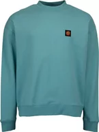 Bluzy męskie - bluza męska SANTA CRUZ CLASSIC LABEL CREW Turquoise - miniaturka - grafika 1