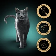 Mokra karma dla kotów - SHEBA Nature’s Collection tacka 22x85 g – mokra karma pełnoporcjowa dla dorosłych kotów, kawałki z łososiem przybranym groszkiem, w sosie - miniaturka - grafika 1