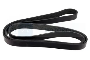 Pasek klinowy wielorowkowy Bosch 1 987 946 850 - Paski klinowe i wielorowkowe - miniaturka - grafika 1