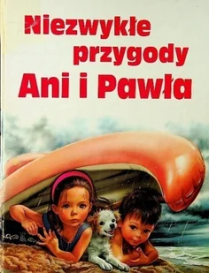 Niezwykłe przygody Ani i Pawła - Literatura obyczajowa - miniaturka - grafika 1