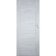 Drzwi wewnętrzne - Skrzydło drzwiowe Syriusz silver pełne 60 L - miniaturka - grafika 1