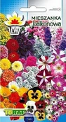 Nasiona i cebule - MIESZANKA BALKONOWA MIX KOLORÓW 1 G - miniaturka - grafika 1