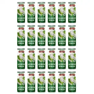 Jungle Fruits Napój gazowany z sokiem z gravioli Zgrzewka 24 x 330 ml - Napoje gazowane - miniaturka - grafika 1