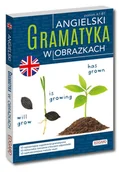 Filologia i językoznawstwo - Angielski Gramatyka w obrazkach Nowa - miniaturka - grafika 1