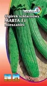 Nasiona i cebule - Ogórek szklarniowy długi wężowaty Marta 1g / L / - miniaturka - grafika 1