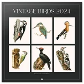 Kalendarze - Vintage Birds - kalendarz 2024 - miniaturka - grafika 1