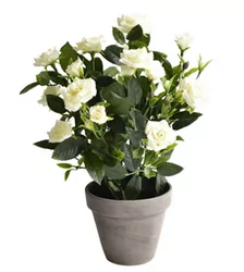 Rosa Finta Decorativa MICA Decorations In PVC Bianco - Per Vaso O Decorazione Casa, Aspetto Naturale - 6