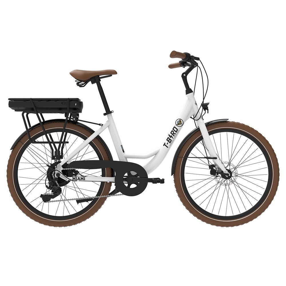 Miami-26 Electric Bike 250W Motor 36V 14 4Ah Battery 26*1 95 inch Tires 25km/h Max Speed 45km Range Front