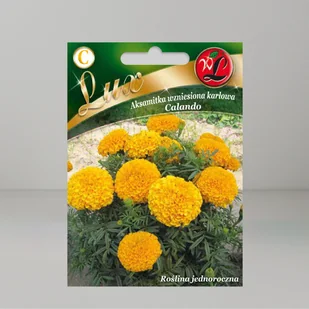 Aksamitka karłowa Calando Pomarańczowa 0,4g - Nasiona - W. Legutko - Nasiona i cebule - miniaturka - grafika 1