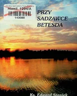 Religia i religioznawstwo - Przy sadzawce Betesda - miniaturka - grafika 1