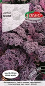 Nasiona i cebule - Nasiona Jarmuż Scarlet 1g - Torseed - miniaturka - grafika 1