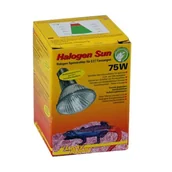 Akcesoria do terrarium - Lucky Reptile Halogen Sun 75 W - miniaturka - grafika 1