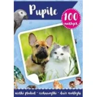 Kolorowanki, wyklejanki - MD Creative 100 naklejek z plakatem. Pupile - praca zbiorowa - miniaturka - grafika 1