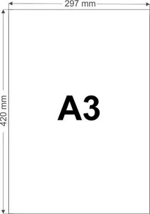 Papier brystol kolorowy 230g R40 łososiowy A3 10ar - Dekoratorstwo - miniaturka - grafika 1
