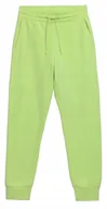 Dresy damskie - DAMSKIE SPODNIE DRESOWE 4F H4L22 SPDD010 72S S - miniaturka - grafika 1