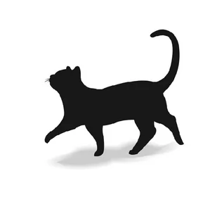 Zestaw dla kota Dachowca - Sucha karma dla kotów - miniaturka - grafika 1