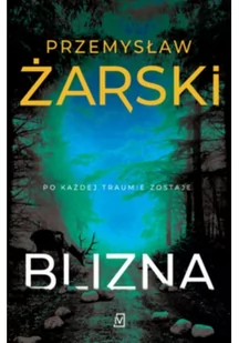 Blizna. Seria z Robertem Kreftem. Tom 2 - Thrillery - miniaturka - grafika 2