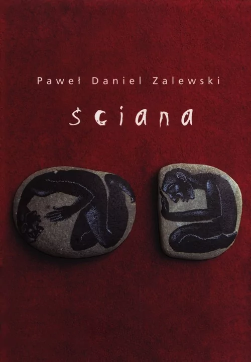 Ściana - Zalewski Paweł Daniel - książka