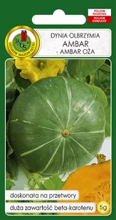 DYNIA AMBAR OLBRZYMIA POMARAŃCZOWA NASIONA BEZ GMO - Nasiona i cebule - miniaturka - grafika 1