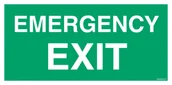 Systemy ekspozycyjne i znaki informacyjne - AC002 EMERGENCY EXIT, TS - PŁYTA TD FOTOLUMINESCENCYJNA; (800X400MM) - miniaturka - grafika 1