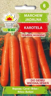 Toraf Marchew Karotela 5g Nas000416 - Nasiona i cebule - miniaturka - grafika 1