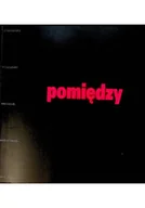 Książki o kulturze i sztuce - Pomiędzy estetyką a metafizyką - miniaturka - grafika 1