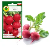 Nasiona i cebule - Rzodkiewka Krasa Dekoracyjna Nasiona Bez Gmo - miniaturka - grafika 1