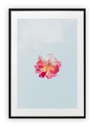 Plakaty - Plakat 30x40 cm Róż Kwiat Rysunek Sztuka WZORY - miniaturka - grafika 1