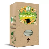 Układ nerwowy - DAR NATURY Dary Natury herbatka miłorzębowa x 25 sasz  OD 149 PLN! - miniaturka - grafika 1