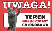 Tablice i flipcharty - Tabliczka tablica UWAGA KOT TEREN MONITOROWANY prezent gadżet 12x20cm - miniaturka - grafika 1