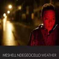 Soul - Me'shell Ndegeocello - Weather - miniaturka - grafika 1