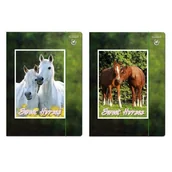 Szkolne artykuły papiernicze - Starpak Teczka z gumką A4 Horses - miniaturka - grafika 1
