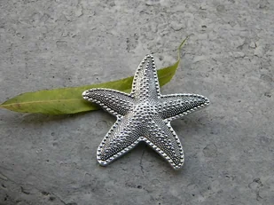 Rozgwiazda - broszka - Broszki - miniaturka - grafika 1