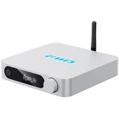 Odtwarzacze sieciowe - FIIO SR11 Srebrny - miniaturka - grafika 1