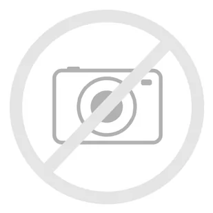 Dell Adapter USB C to HDMI/DP with Power - Adaptery i przejściówki - miniaturka - grafika 1